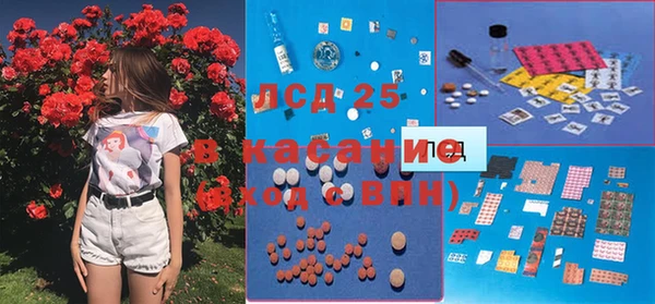 гидра Пересвет