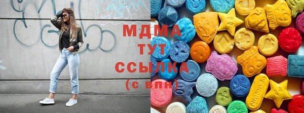прущие грибы Покров