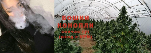 гидра Пересвет
