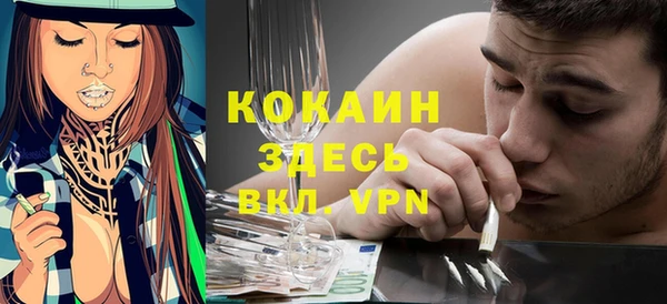 прущие грибы Покров