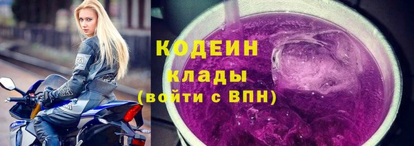 прущие грибы Покров