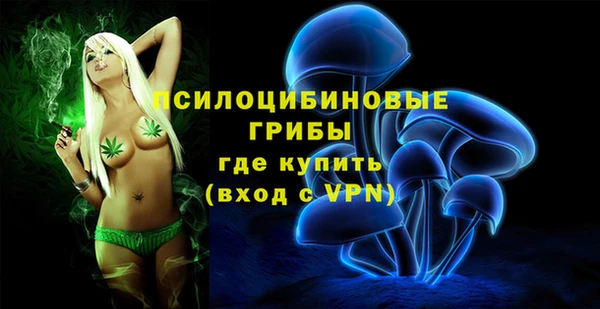 гидра Пересвет