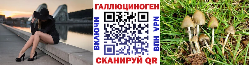 Псилоцибиновые грибы ЛСД  Тюмень 